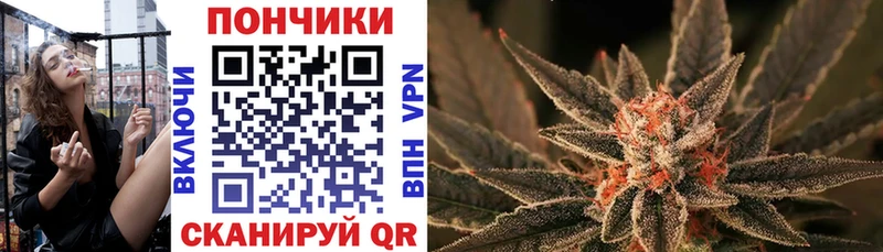 Шишки марихуана марихуана  цены   Верхняя Пышма 